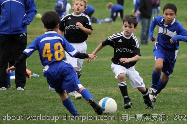 用户真实反馈：2026世界杯竞猜哪个平台最靠谱？
