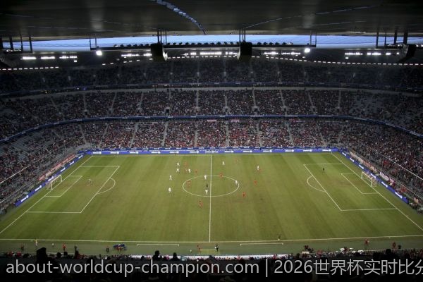 2026世界杯实时比分更新，谁在争夺荣耀？